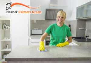 Professional Cleaning Services