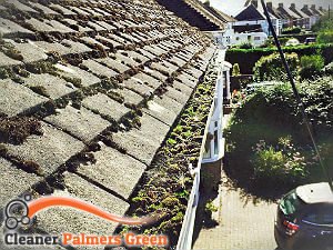 gutter-cleaning-palmers-green